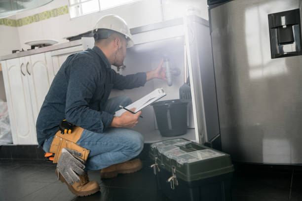 Best Affordable Plumbing Services  in Holland, MI